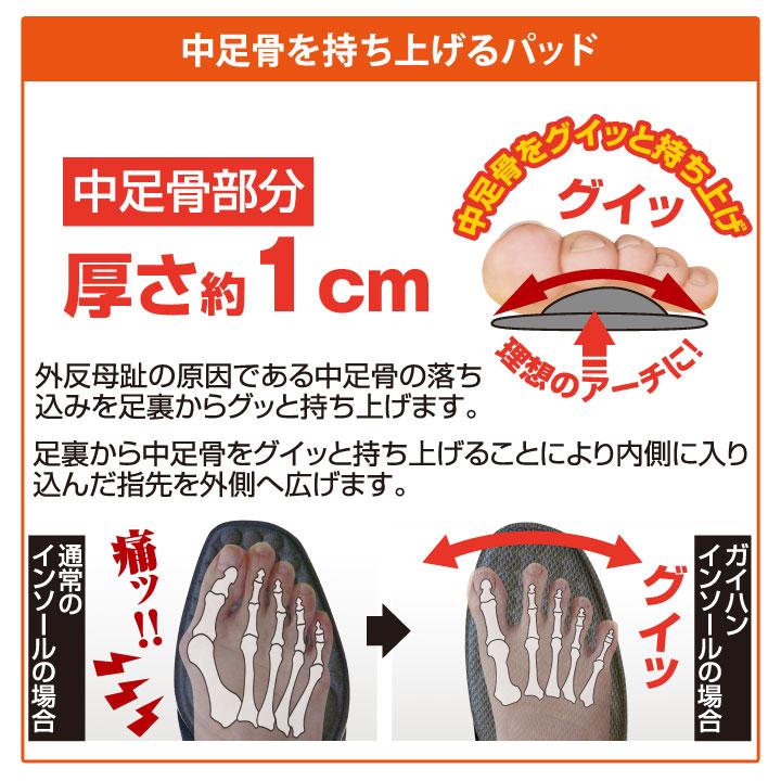 ガイハンインソール Z1837 外反母趾 インソール レディース 中敷き