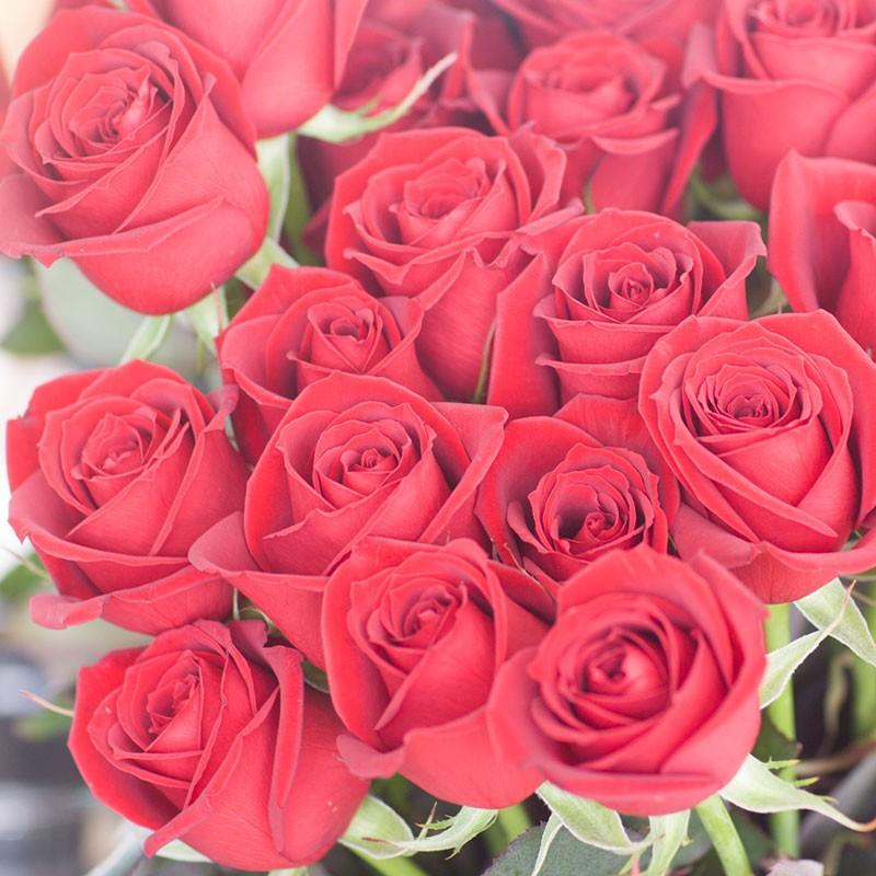 送別 花束 花 プロポーズ サプライズ 感動 ギフト プレゼント 送料無料 バラの花束ギガサイズ 100本のバラ 使用 お誕生日 退職 結婚記念日 贈り物 あぼんりーの花 通販 Yahoo ショッピング