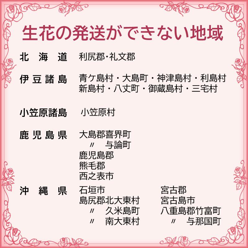 お供え フラワーアレンジメント 生花 お悔やみ 宅配 長持ち剤つき 弔事用 花おまかせ 法事 仏壇 四十九日 ご命日  お供え Lサイズ |  | 04
