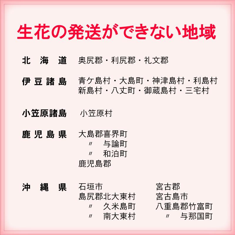 お供え フラワーアレンジメント 生花 お悔み 宅配 長持ち剤つき 弔事用 おまかせ 法事 仏壇 四十九日 ご命日  特大 LLサイズ |  | 06
