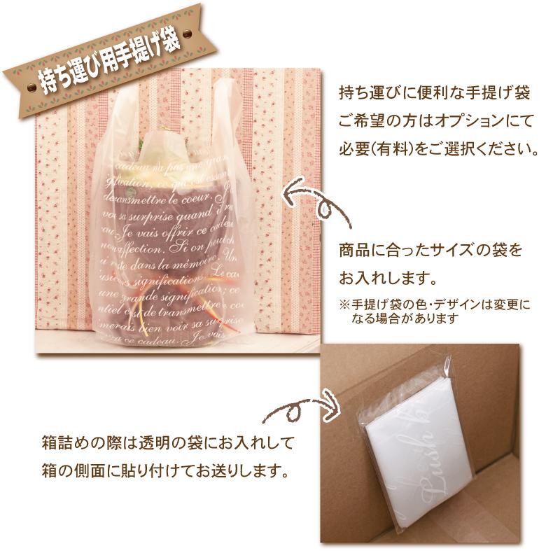 お供え 彼岸 生花 花束 長持ち剤つき 花 お墓参り 墓前 霊前 仏壇 弔事用 法事 四十九日 ご命日 おまかせ Sサイズ Fb O 01 あぼんりーの花 通販 Yahoo ショッピング