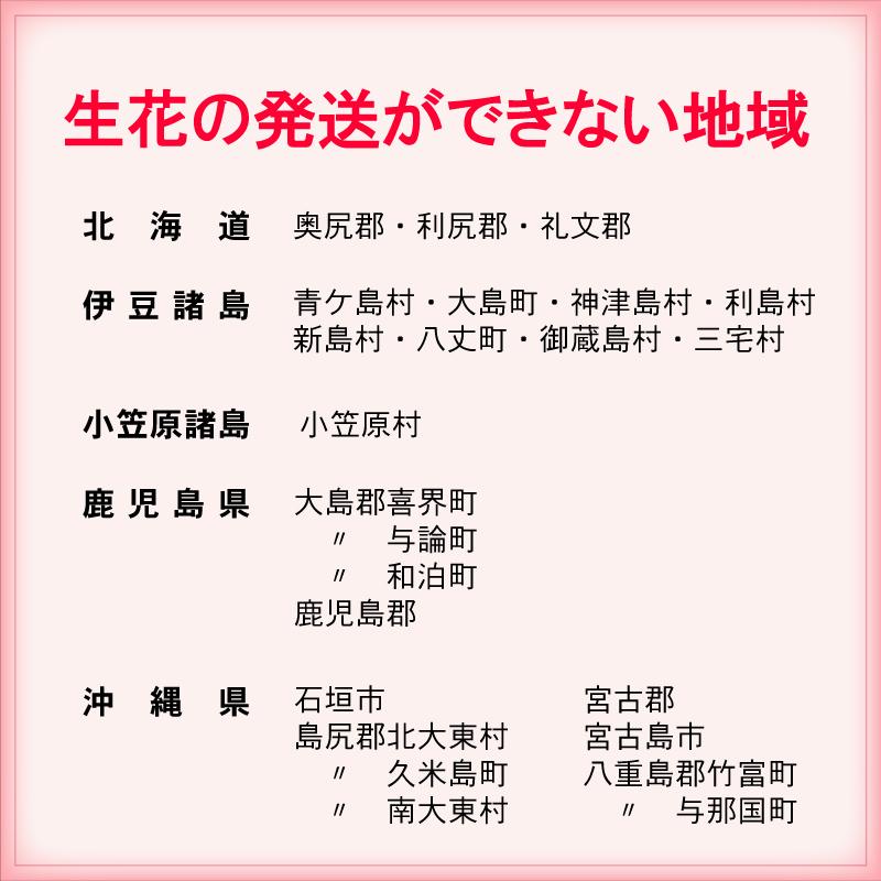 ジブリ トトロ ネコバス 生花アレンジメント 花 かわいい ギフト サプライズ プレゼント  入学  誕生日プレゼント贈り物 お祝い トトロの花車ごっこ   敬老の日｜avonlea｜11