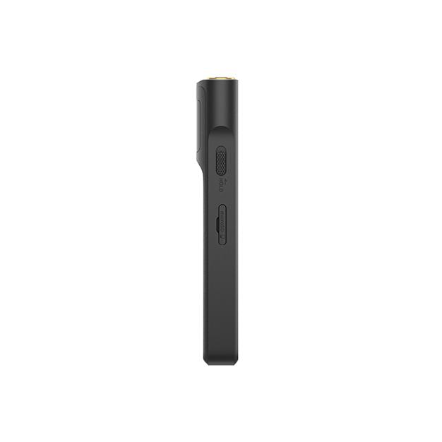 ソニー ウォークマン NW-WM1AM2 アルミ切削筐体 128GBモデル : nw 