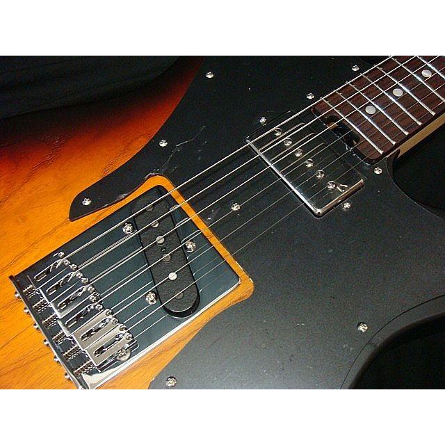 SCHECTER SCHECTER PS-S-PT-CTM 3TST R Progauge Series オイル