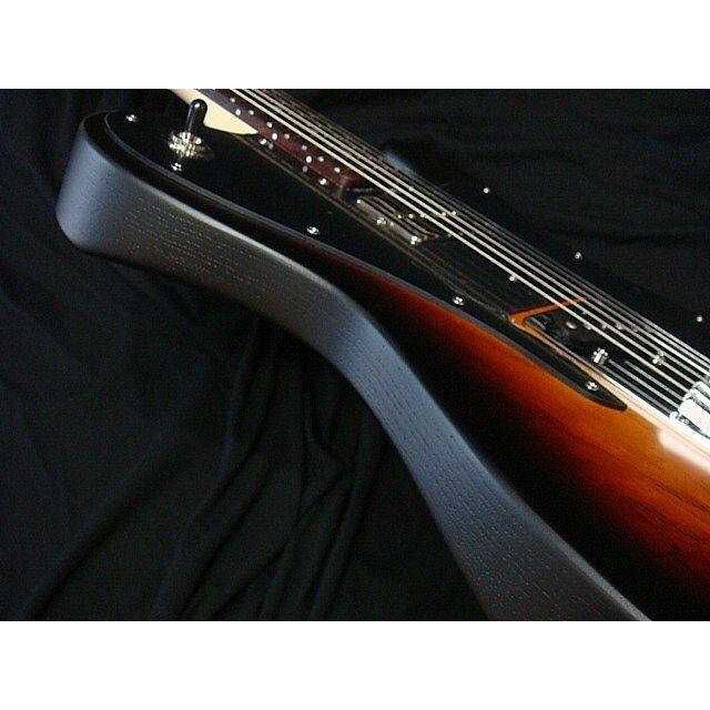 SCHECTER SCHECTER PS-S-PT-CTM 3TST R Progauge Series オイル