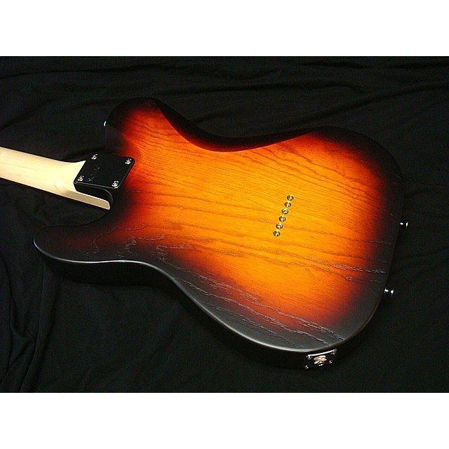 SCHECTER SCHECTER PS-S-PT-CTM 3TST R Progauge Series オイル