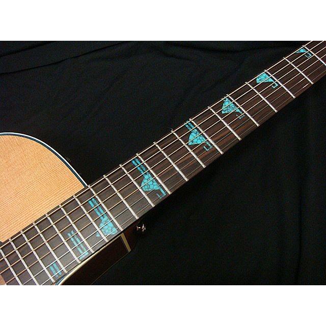 Takamine DSF46C SANTAFE タカミネ ターコイズイーグル Takamine DSF46C SANTAFE タカミネ ターコイズイーグル