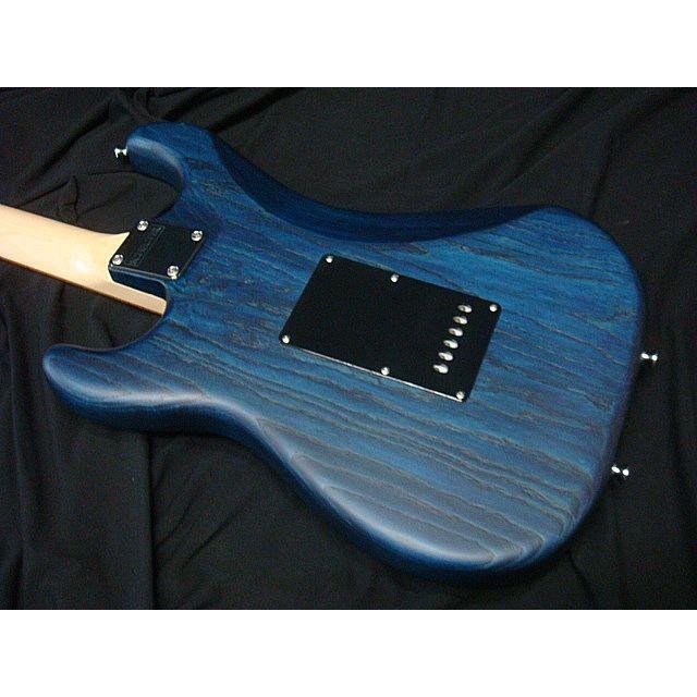 SCHECTER SCHECTER PS-S-ST PBT PF パーフェロー指板 シェクター