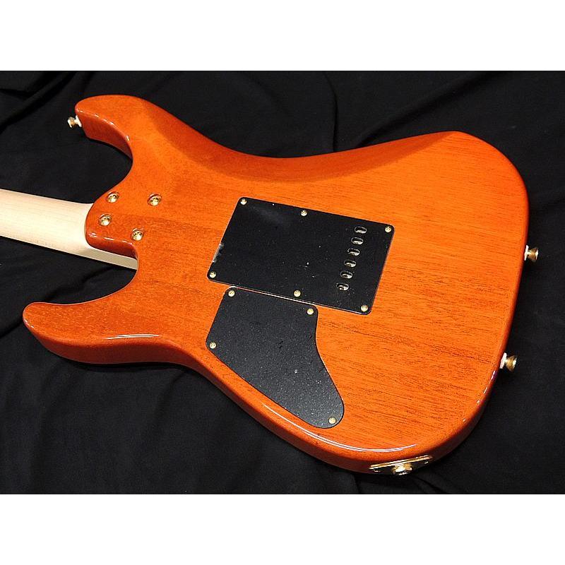 SCHECTER SCHECTER NV-DX-24-MH-VTR/E LACE WOOD シェクター レース