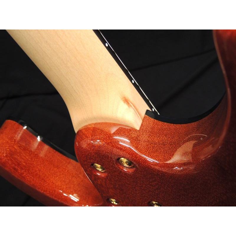 NV-DX-24-MH-VTR/E LACE WOOD シェクター レースウッド エレキギター 送料無料 新品アウトレット 限定モデル 【ギャング】