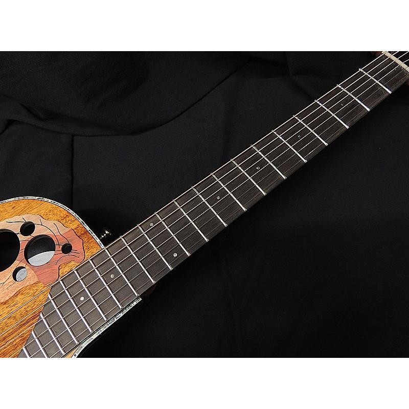 Ovation（オベーション） Ovation CE44P-FKOA-G Koa コア エレアコ