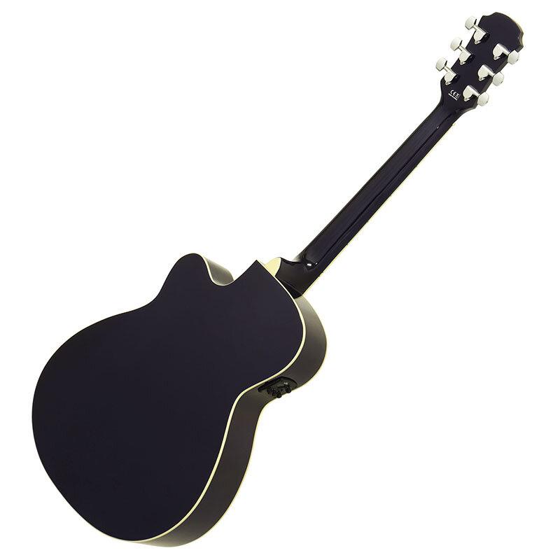 アコースティックギター 初心者セット Legend by Aria FG-15CE BLS