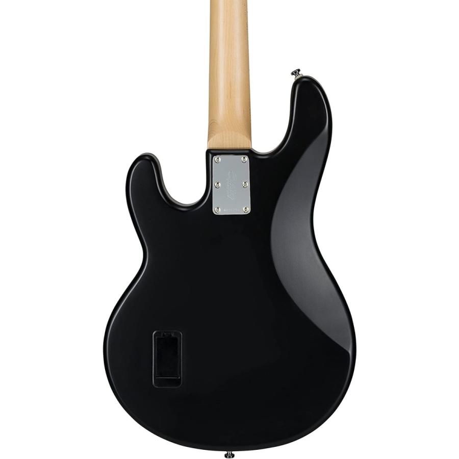 エレキベース musicman sterling StingRay sub Sterling by MUSIC MAN SUB STINGRAY RAY2 MTG エレキベース（新品