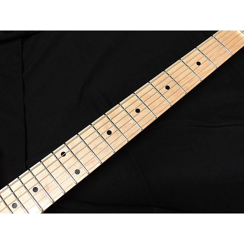 SCHECTER SCHECTER PS-S-PT VT M シェクター テレキャスタータイプ