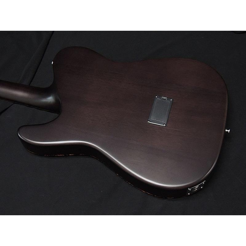 SCHECTER OL-FL SSG Oriental Line エレアコギター SCHECTER SCHECTER OL-FL SSG Oriental Line シェクター 薄胴