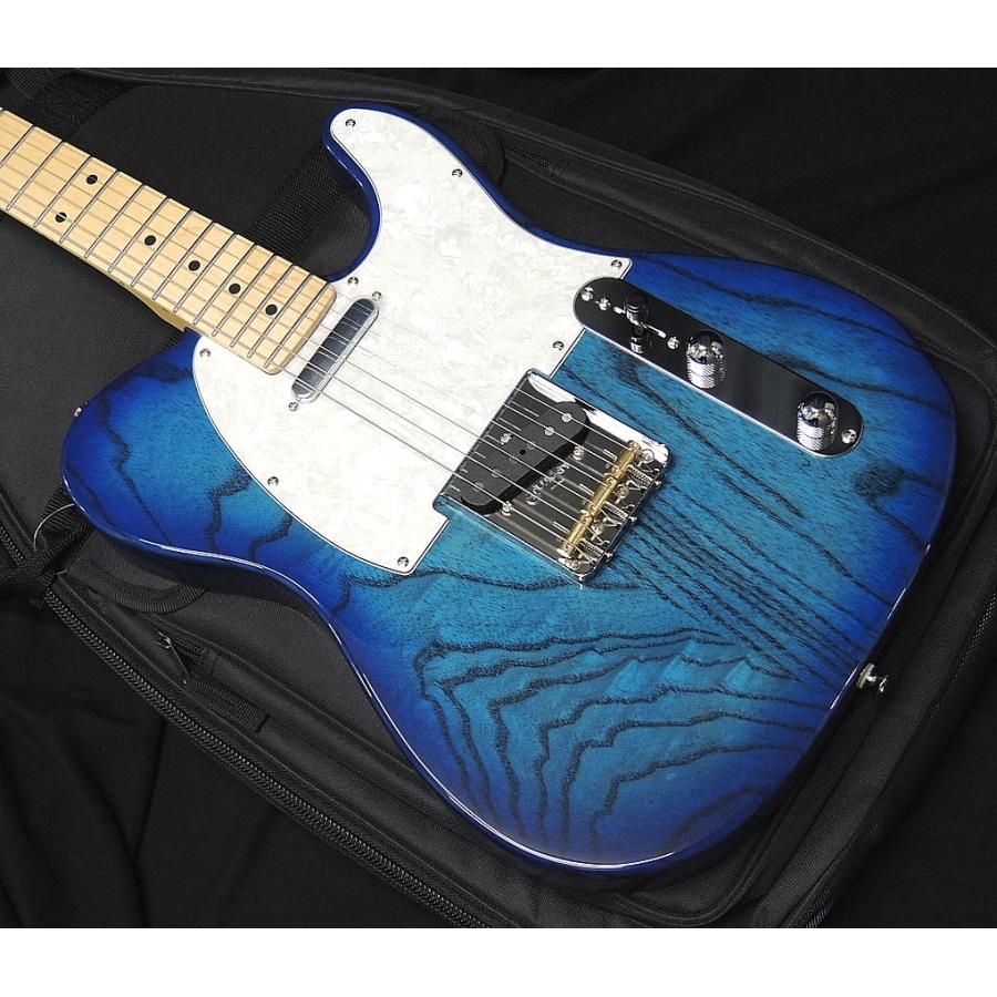FUJIGEN（フジゲン） FGN FUJIGEN NTE100MAH SBB テレキャスター