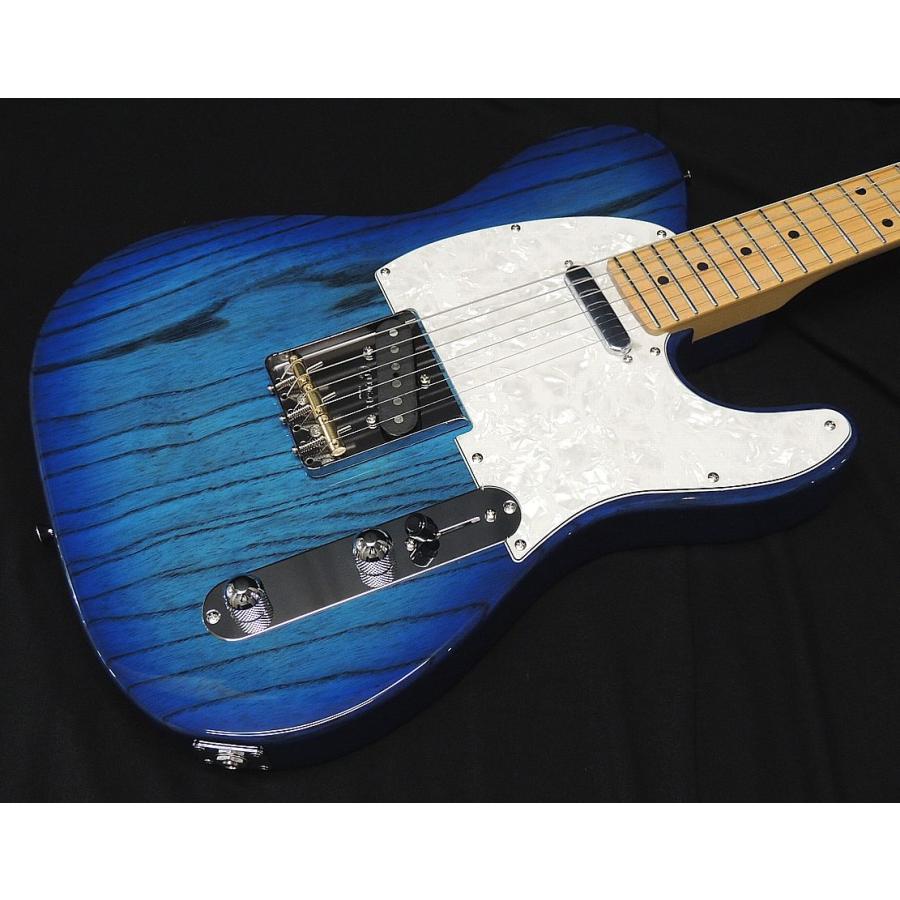 FUJIGEN（フジゲン） FGN FUJIGEN NTE100MAH SBB テレキャスター