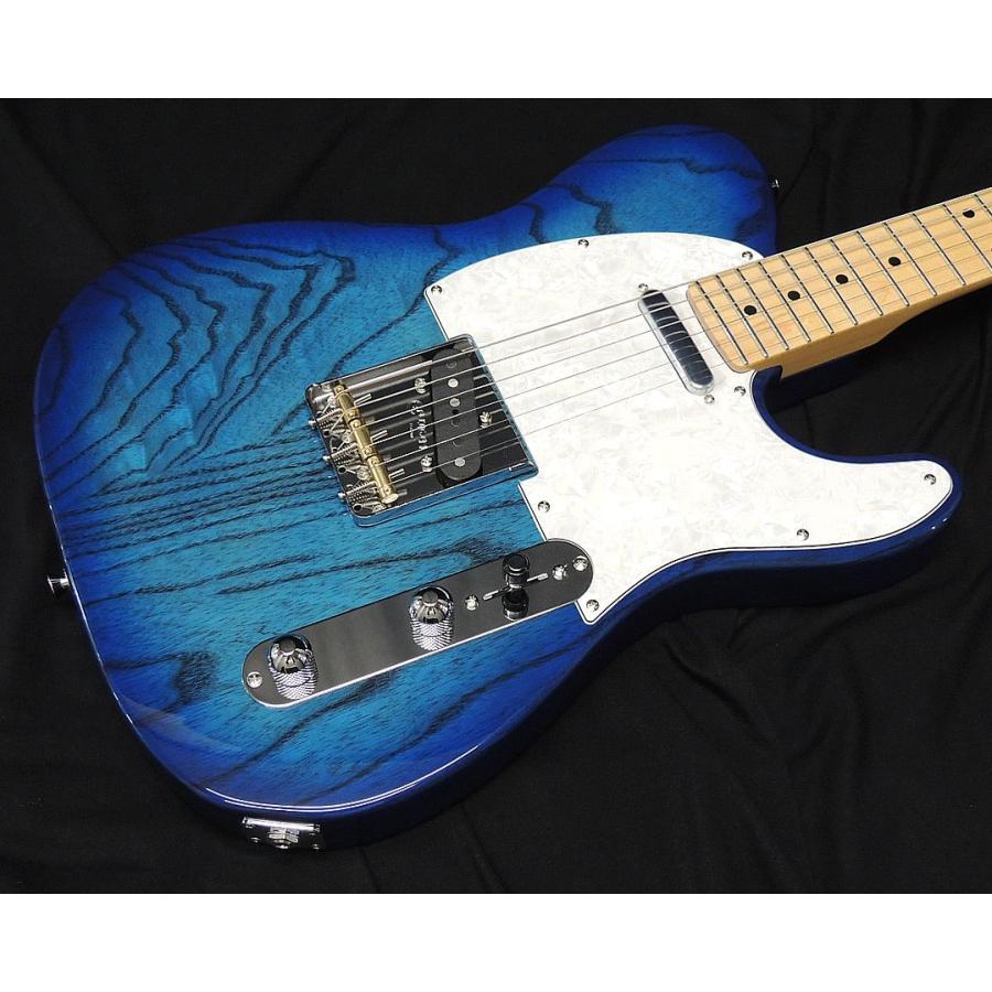 FUJIGEN（フジゲン） FGN FUJIGEN NTE100MAH SBB テレキャスター