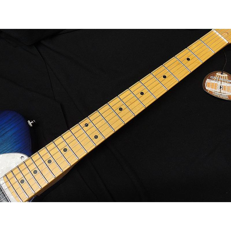FUJIGEN（フジゲン） FGN FUJIGEN NTE100MAH SBB テレキャスター