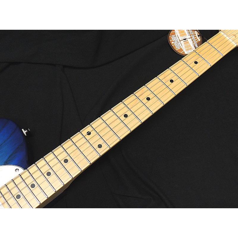 FUJIGEN（フジゲン） FGN FUJIGEN NTE100MAH SBB テレキャスター