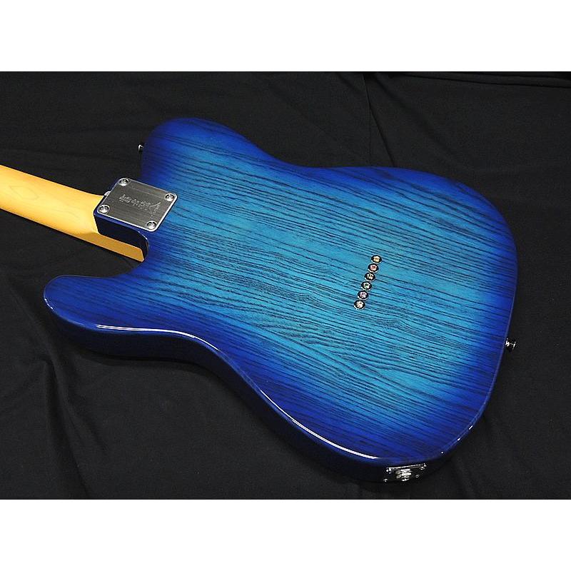 FUJIGEN（フジゲン） FGN FUJIGEN NTE100MAH SBB テレキャスター