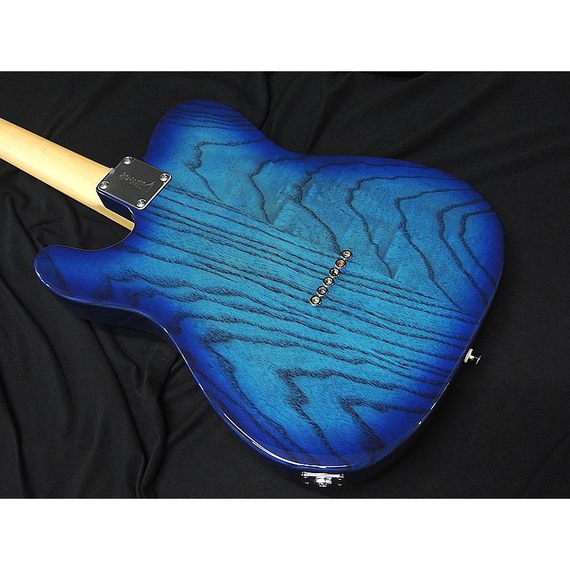 FUJIGEN（フジゲン） FGN FUJIGEN NTE100MAH SBB テレキャスター
