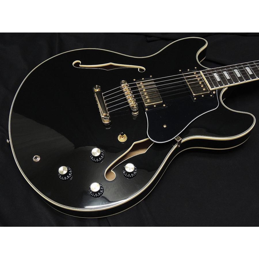 Sire Larry Carlton H7 BK サイアー ラリーカールトン セミアコタイプ