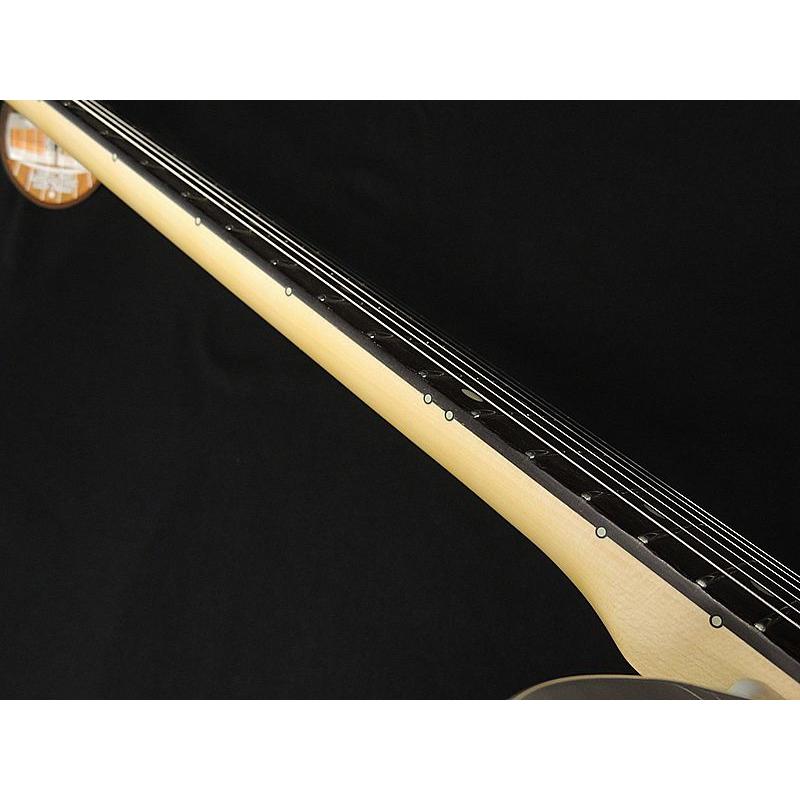 FUJIGEN FGN NTE100RAH WB Neo Classic SERIES フジゲン FUJIGEN FGN NTE100RAH WB Neo Classic SERIES フジゲン