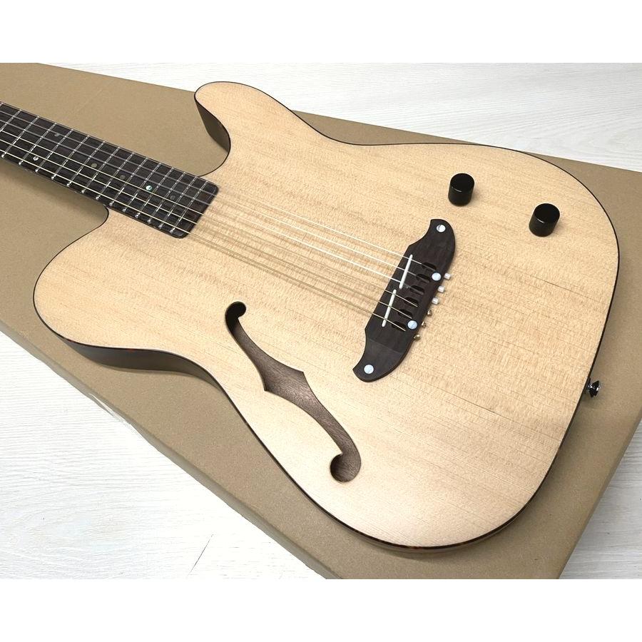 SCHECTER SCHECTER OL-FL-N-P SNTL ナイロン弦 エレガット シェクター