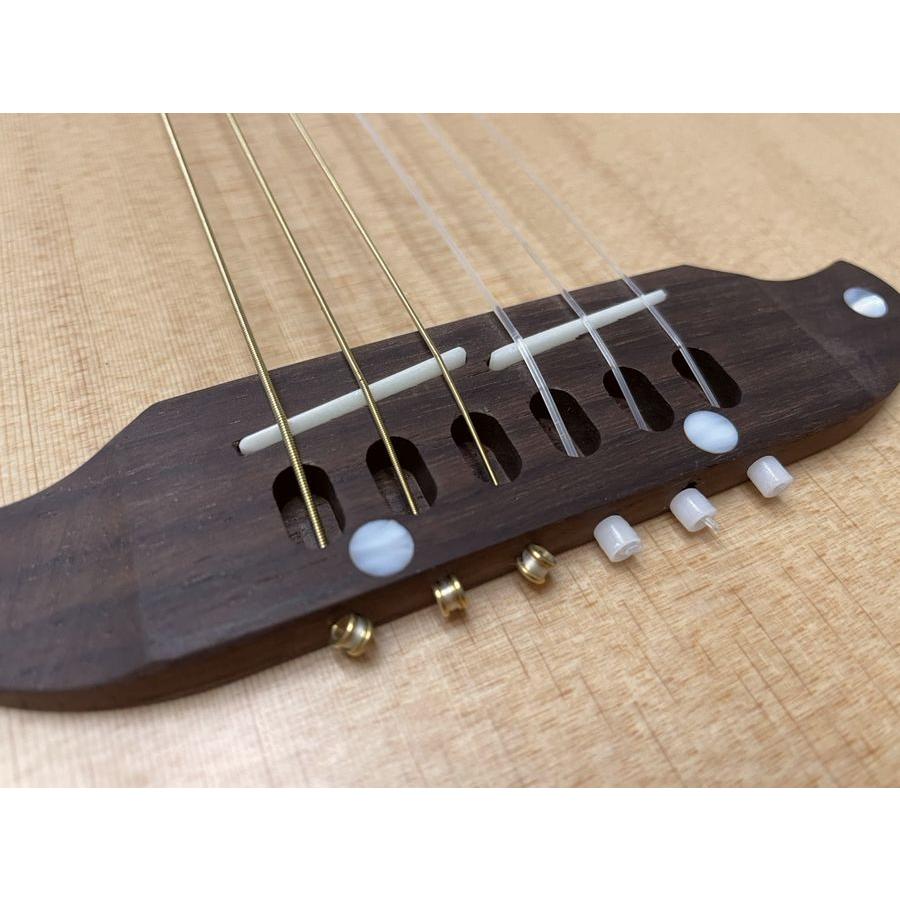 SCHECTER SCHECTER OL-FL-N-P SNTL ナイロン弦 エレガット シェクター