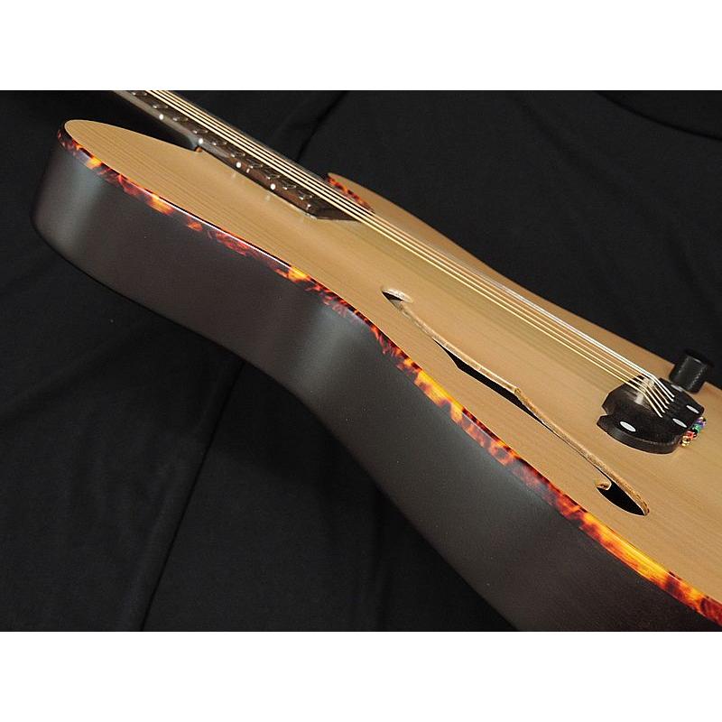 SCHECTER SCHECTER OL-FL-P SNTL シェクター Fホール エレアコ 薄胴