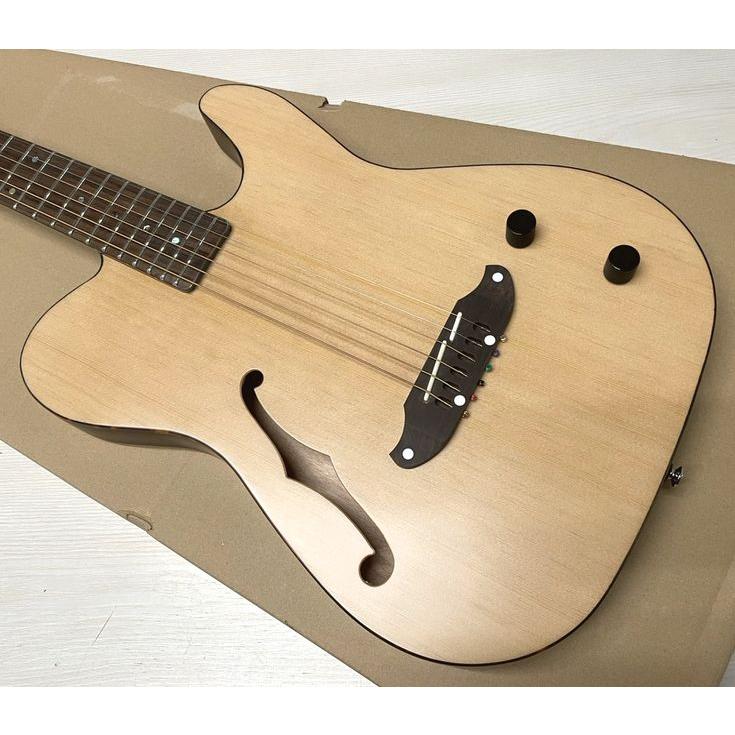 SCHECTER SCHECTER OL-FL-P SNTL シェクター Fホール エレアコ 薄胴