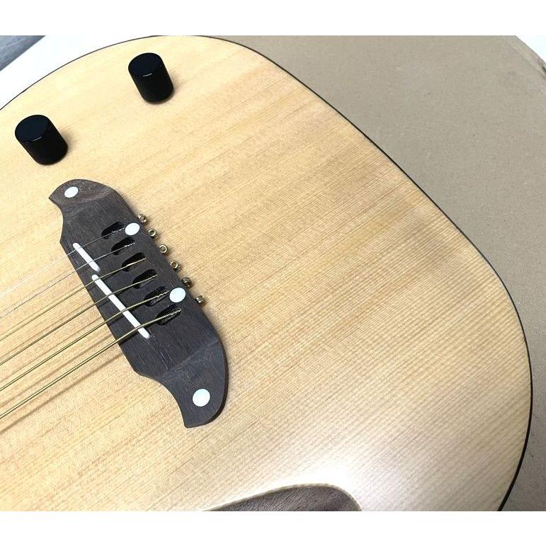 SCHECTER SCHECTER OL-FL-P SNTL シェクター Fホール エレアコ 薄胴