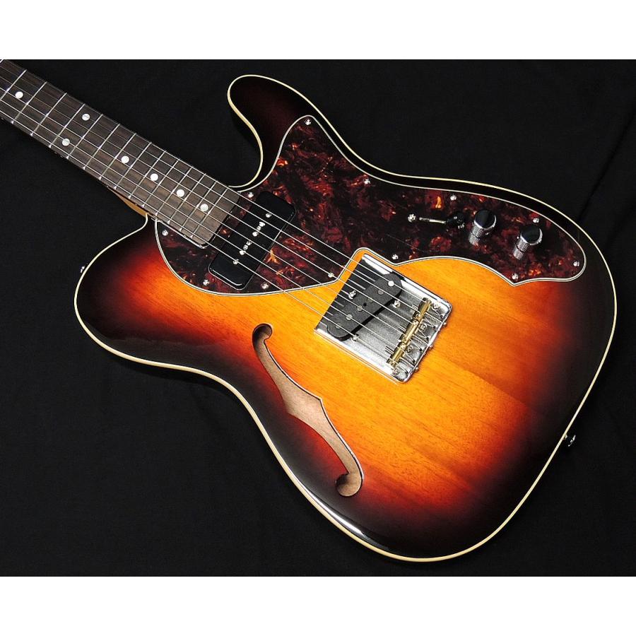 SCHECTER PS-PT-TH-MH-N 3TS R シェクター テレキャスター シン SCHECTER PS-PT-TH-MH-N 3TS R シェクター テレキャスター シン