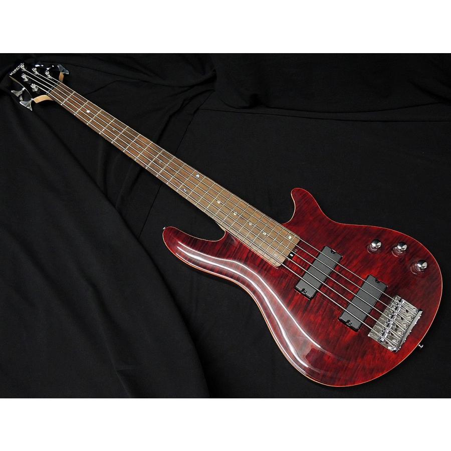 SCHECTER SCHECTER JOL-CT-B-5 BKCH シェクター フレイムメイプル