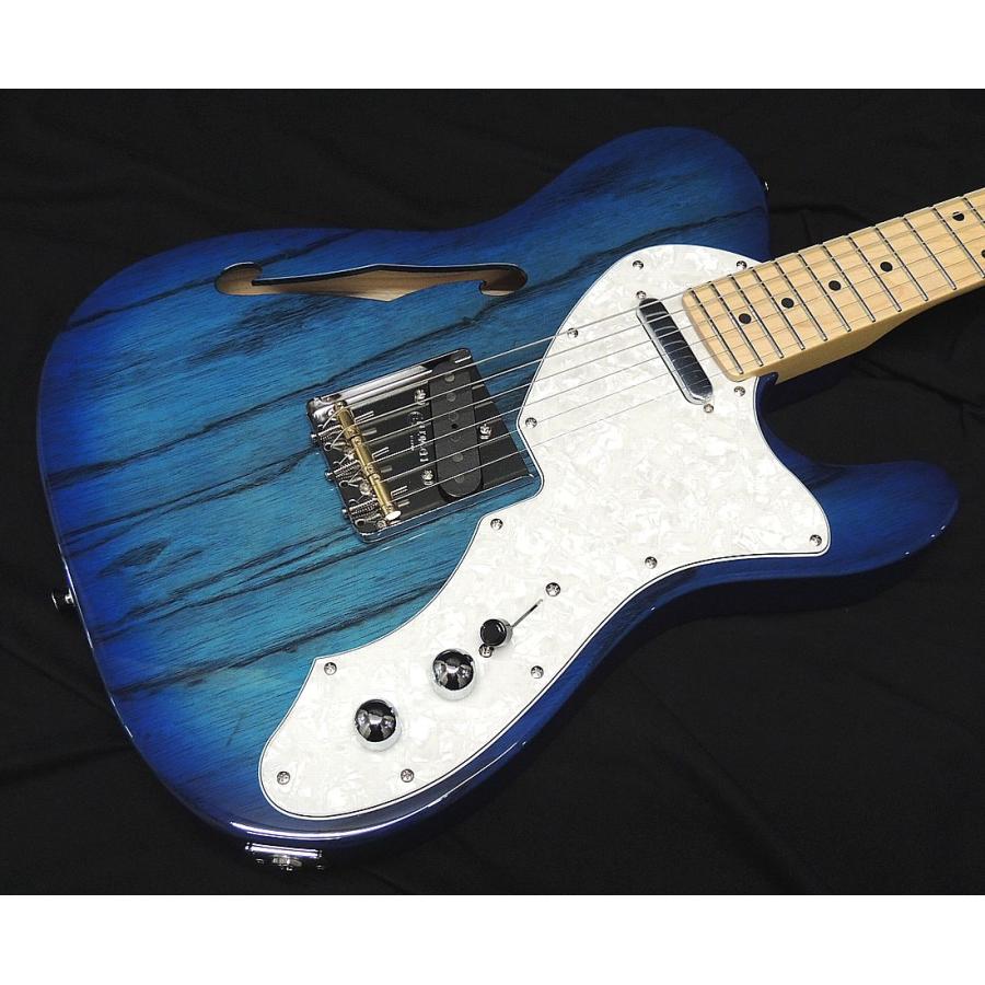 FUJIGEN（フジゲン） FGN FUJIGEN NTE100MAHT SBB テレキャスター シン