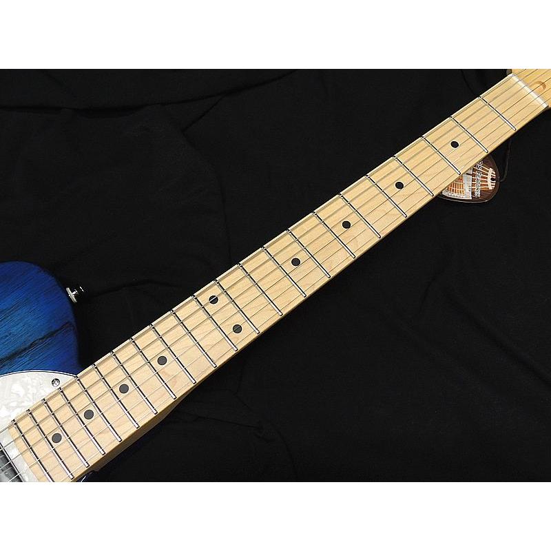 FUJIGEN（フジゲン） FGN FUJIGEN NTE100MAHT SBB テレキャスター シン