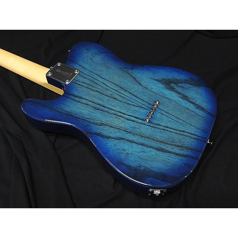 FUJIGEN（フジゲン） FGN FUJIGEN NTE100MAHT SBB テレキャスター シン