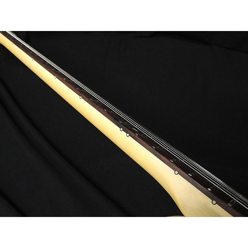 FUJIGEN FGN NTE100RAL BLK Neo Classic SERIES フジゲン FUJIGEN FGN NTE100RAL BLK Neo Classic SERIES フジゲン