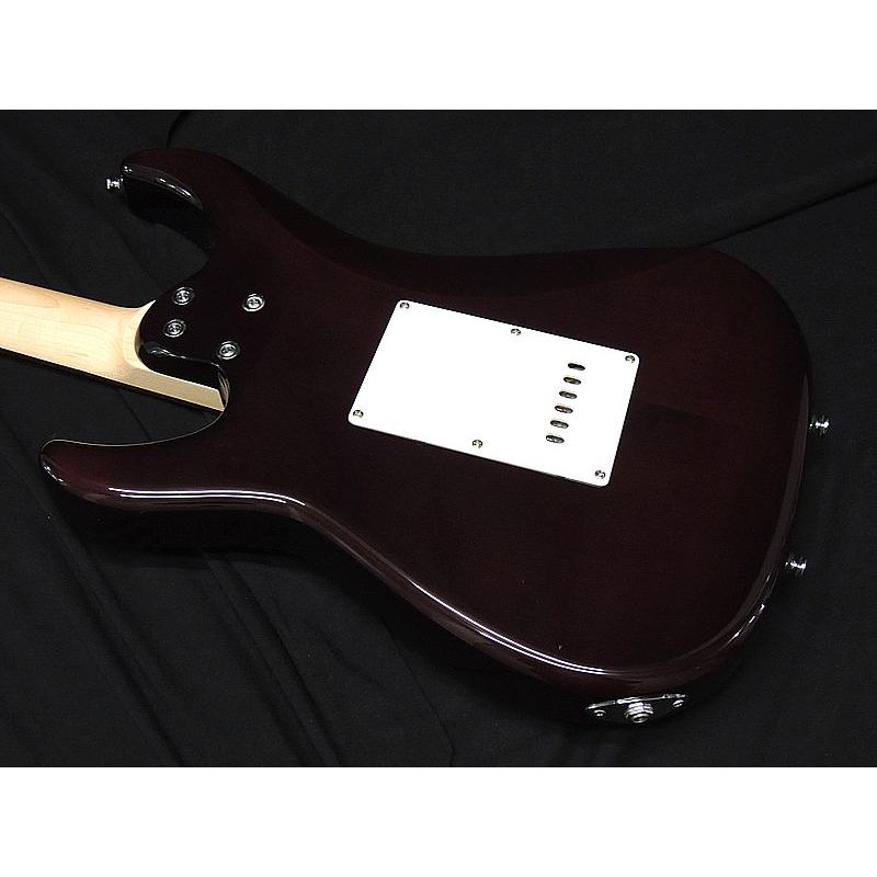 SCHECTER SCHECTER OL-BH UBB Ultimate Brown Burst シェクター 