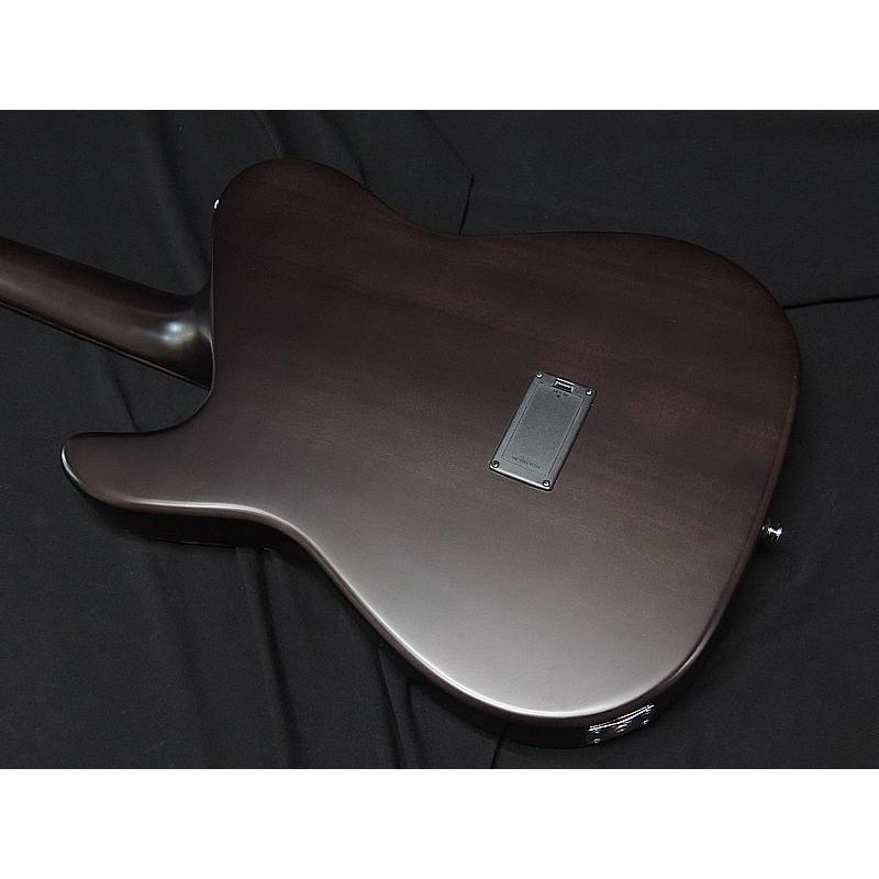 SCHECTER OL-FL SSG Oriental Line エレアコギター SCHECTER SCHECTER OL-FL SSG Oriental Line シェクター 薄胴