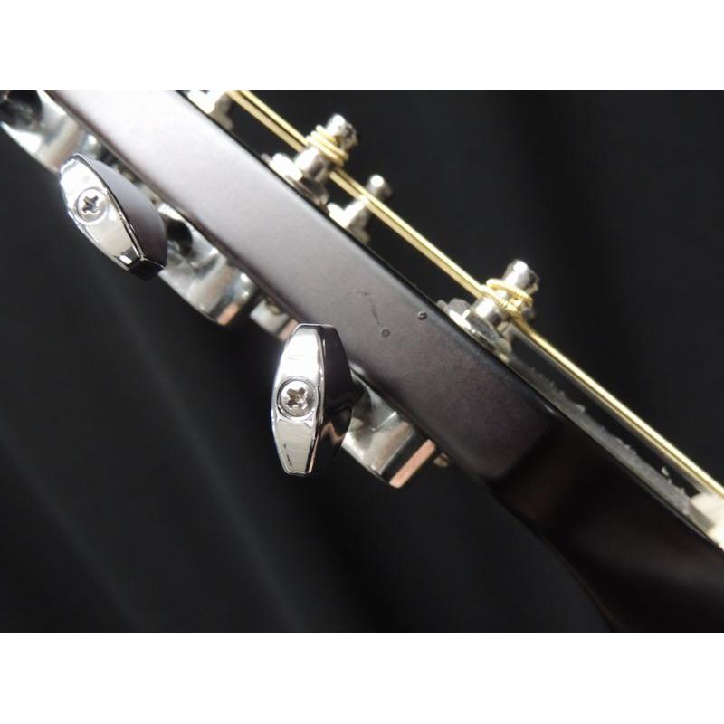 SCHECTER SCHECTER OL-FL SSG Oriental Line シェクター 薄胴
