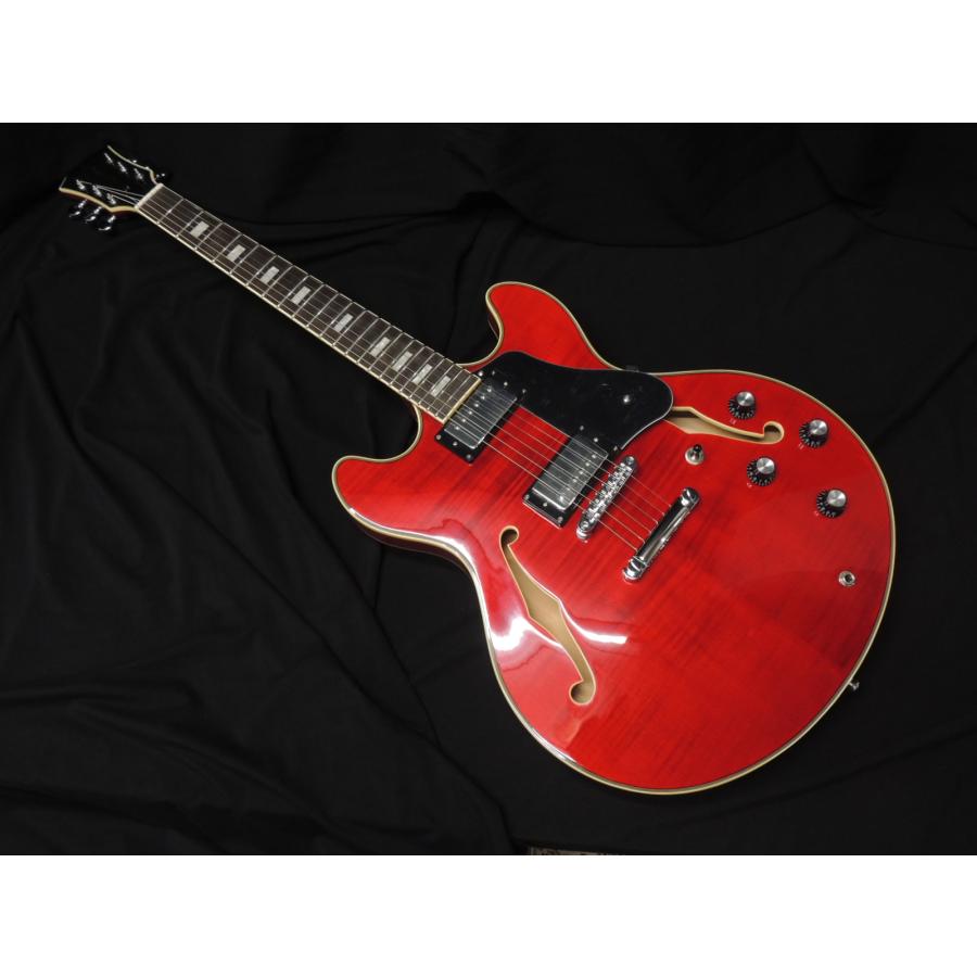 Sire Larry Carlton H7 STR サイアー ラリーカールトン セミアコ 335