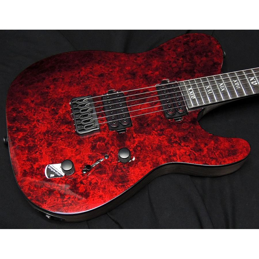 SCHECTER Schecter PT APOCALYPSE AD-PT-APOC Red Reign シェクター