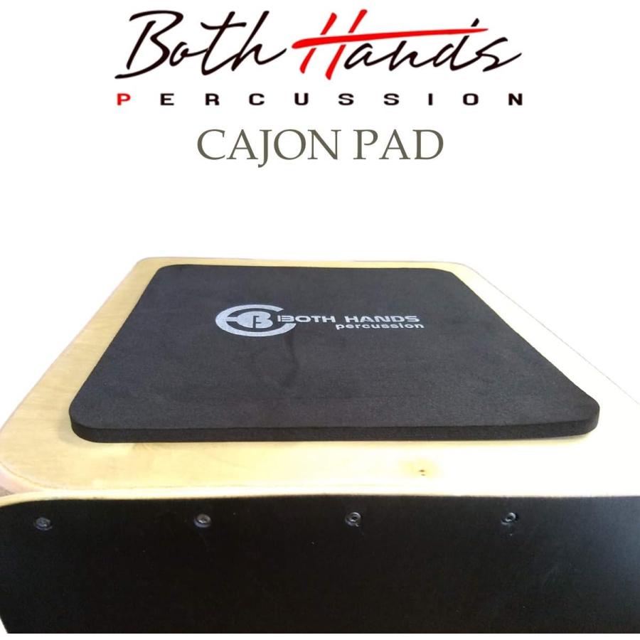 BOTH HANDS CITY CAJON BHC-P23 ボスハンズ スナッピー脱着可能 カホン