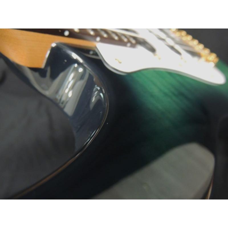SCHECTER SCHECTER BH-1-CTM-24-MH-FM RM EGB R シェクター ロース