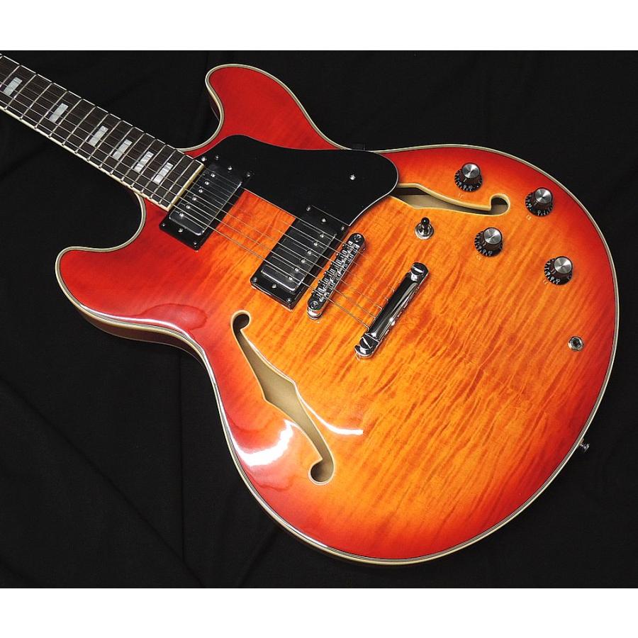 Sire Larry Carlton H7 CS サイアー ラリーカールトン チェリーサン