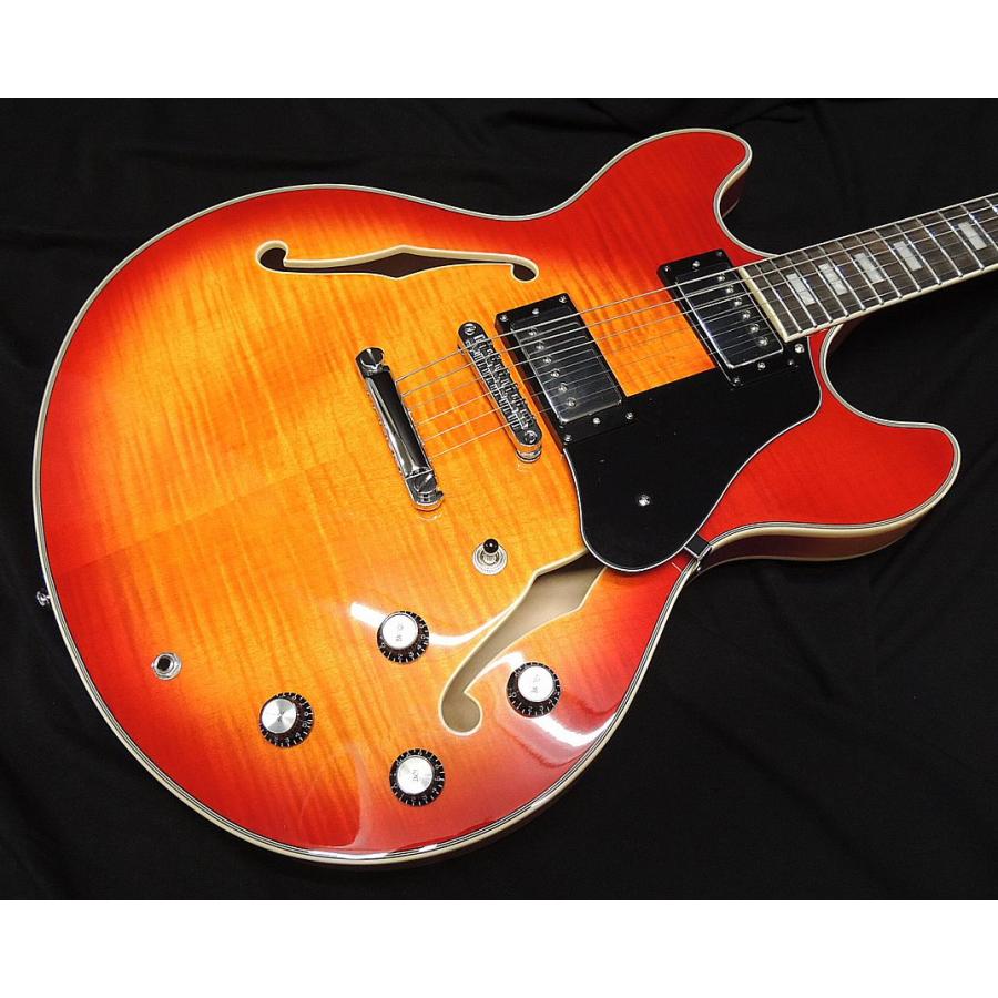 Sire Larry Carlton H7 CS サイアー ラリーカールトン チェリーサン