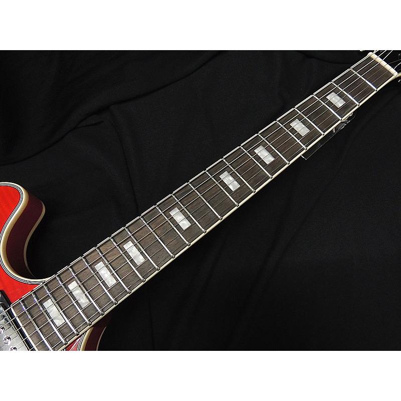 Sire Larry Carlton H7 CS サイアー ラリーカールトン チェリーサン