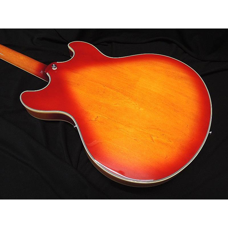 Sire Larry Carlton H7 CS サイアー ラリーカールトン チェリーサン